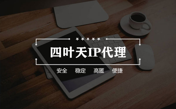 【湘潭代理IP】如何快速搭建代理IP？怎么检查代理的效果？